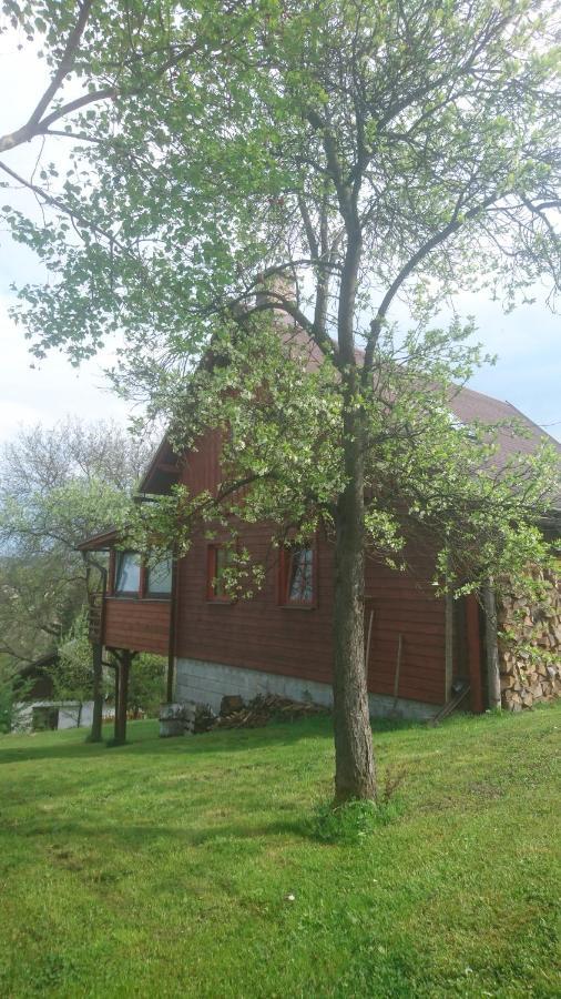 Chata S Bazenem Bozkov Bozkovska Exterior photo